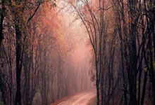 什么叫配资炒股配:股票买卖怎么加杠杆-9月1日龙虎榜复盘：“陈小群”1.82亿元净买入华胜天成