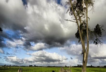 炒股杠杆融资:融资杠杆炒股-美国与欧盟发表联合声明 双方已就贸易协定框架达成一致