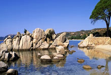 股票手机如何交易:股天下配资官网-南向资金年度净买入额超1万亿港元 刷新历史纪录